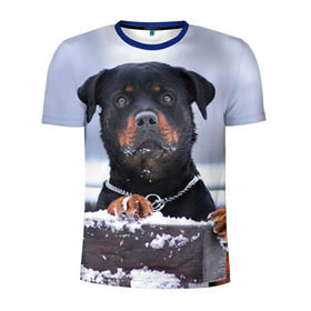 Мужская футболка 3D спортивная с принтом Ротвейлер в Кировске, 100% полиэстер с улучшенными характеристиками | приталенный силуэт, круглая горловина, широкие плечи, сужается к линии бедра | животное | порода | ротвейлер | собака
