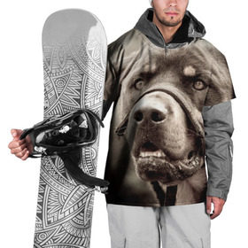 Накидка на куртку 3D с принтом Ротвейлер в Кировске, 100% полиэстер |  | Тематика изображения на принте: животное | порода | ротвейлер | собака