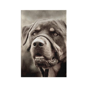 Обложка для паспорта матовая кожа с принтом Ротвейлер в Кировске, натуральная матовая кожа | размер 19,3 х 13,7 см; прозрачные пластиковые крепления | животное | порода | ротвейлер | собака