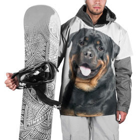 Накидка на куртку 3D с принтом Ротвейлер в Кировске, 100% полиэстер |  | животное | порода | ротвейлер | собака