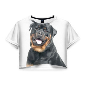 Женская футболка 3D укороченная с принтом Ротвейлер в Кировске, 100% полиэстер | круглая горловина, длина футболки до линии талии, рукава с отворотами | животное | порода | ротвейлер | собака