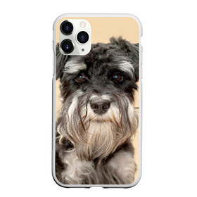 Чехол для iPhone 11 Pro матовый с принтом Цвергшнауцер в Кировске, Силикон |  | животное | порода | собака | цвергшнауцер