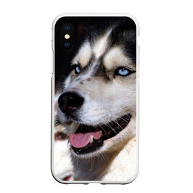 Чехол для iPhone XS Max матовый с принтом Хаски в Кировске, Силикон | Область печати: задняя сторона чехла, без боковых панелей | животное | порода | собака | хаски
