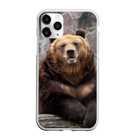 Чехол для iPhone 11 Pro матовый с принтом Русский медведь в Кировске, Силикон |  | медведь | россия | русский | русский медведь