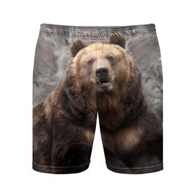 Мужские шорты 3D спортивные с принтом Русский медведь в Кировске,  |  | медведь | россия | русский | русский медведь
