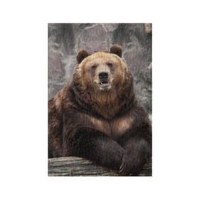 Обложка для паспорта матовая кожа с принтом Русский медведь в Кировске, натуральная матовая кожа | размер 19,3 х 13,7 см; прозрачные пластиковые крепления | медведь | россия | русский | русский медведь