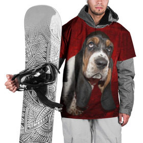 Накидка на куртку 3D с принтом Бассет-хаунд в Кировске, 100% полиэстер |  | бархат | бассет хаунд | взгляд | домашнее | животное | порода | собака | уши