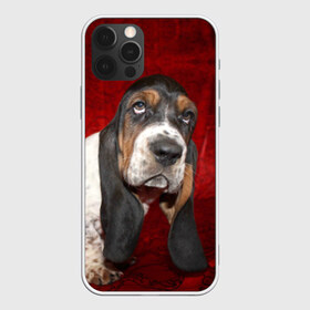 Чехол для iPhone 12 Pro Max с принтом Бассет-хаунд в Кировске, Силикон |  | Тематика изображения на принте: бархат | бассет хаунд | взгляд | домашнее | животное | порода | собака | уши