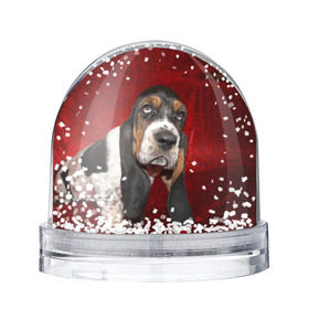 Снежный шар с принтом Бассет-хаунд в Кировске, Пластик | Изображение внутри шара печатается на глянцевой фотобумаге с двух сторон | бархат | бассет хаунд | взгляд | домашнее | животное | порода | собака | уши