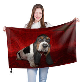 Флаг 3D с принтом Бассет-хаунд в Кировске, 100% полиэстер | плотность ткани — 95 г/м2, размер — 67 х 109 см. Принт наносится с одной стороны | Тематика изображения на принте: бархат | бассет хаунд | взгляд | домашнее | животное | порода | собака | уши