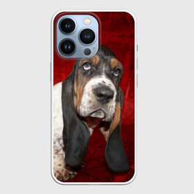 Чехол для iPhone 13 Pro с принтом Бассет хаунд в Кировске,  |  | Тематика изображения на принте: бархат | бассет хаунд | взгляд | домашнее | животное | порода | собака | уши