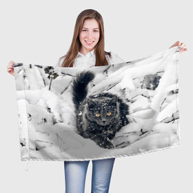 Флаг 3D с принтом Кот в снегу в Кировске, 100% полиэстер | плотность ткани — 95 г/м2, размер — 67 х 109 см. Принт наносится с одной стороны | ветки | дикий | домашнее | животное | зима | кот | котэ | кошка | снег | сугробы