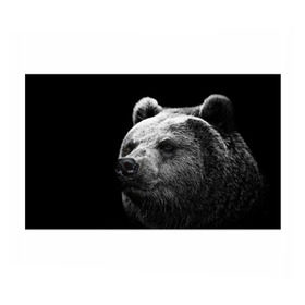Бумага для упаковки 3D с принтом Медведь в Кировске, пластик и полированная сталь | круглая форма, металлическое крепление в виде кольца | Тематика изображения на принте: бурый | дикий | животное | медведь | россия | символ | тайги | фото | хищник | хозяин | черно белое