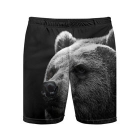 Мужские шорты 3D спортивные с принтом Медведь в Кировске,  |  | бурый | дикий | животное | медведь | россия | символ | тайги | фото | хищник | хозяин | черно белое