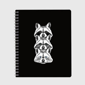 Тетрадь Еноты: в Кировске, 100% бумага | 48 листов, плотность листов — 60 г/м2, плотность картонной обложки — 250 г/м2. Листы скреплены сбоку удобной пружинной спиралью. Уголки страниц и обложки скругленные. Цвет линий — светло-серый
 | енот