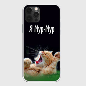Чехол для iPhone 12 Pro Max с принтом Мур мур в Кировске, Силикон |  | Тематика изображения на принте: киса | кот | котики | кошка | мур | мурмур | прикольные | смешной котик | ямурмур