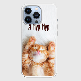 Чехол для iPhone 13 Pro с принтом Я мур мур в Кировске,  |  | Тематика изображения на принте: киса | кот | котики | кошка | мур | мурмур | прикольные | смешной котик | ямурмур