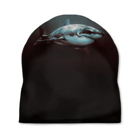 Шапка 3D с принтом Акула в Кировске, 100% полиэстер | универсальный размер, печать по всей поверхности изделия | акула | море | хищник