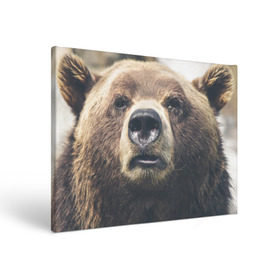 Холст прямоугольный с принтом Русский медведь в Кировске, 100% ПВХ |  | Тематика изображения на принте: медведь | россия | русский | символ | ссср