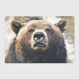 Магнитный плакат 3Х2 с принтом Русский медведь в Кировске, Полимерный материал с магнитным слоем | 6 деталей размером 9*9 см | медведь | россия | русский | символ | ссср