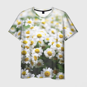 Мужская футболка 3D с принтом Полевые ромашки в Кировске, 100% полиэфир | прямой крой, круглый вырез горловины, длина до линии бедер | Тематика изображения на принте: природа | ромашка | цветок | цветы