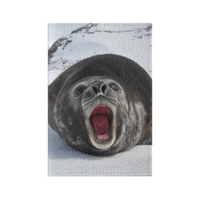 Обложка для паспорта матовая кожа с принтом Морской тюлень в Кировске, натуральная матовая кожа | размер 19,3 х 13,7 см; прозрачные пластиковые крепления | Тематика изображения на принте: животное | зима | море | океан | снег | тюлень