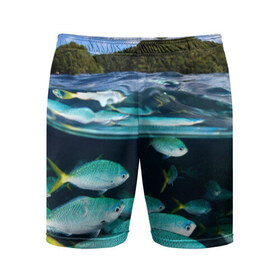 Мужские шорты 3D спортивные с принтом Подводный мир в Кировске,  |  | вода | море | океан | природа | рыба | рыбы