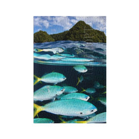 Обложка для паспорта матовая кожа с принтом Подводный мир в Кировске, натуральная матовая кожа | размер 19,3 х 13,7 см; прозрачные пластиковые крепления | вода | море | океан | природа | рыба | рыбы