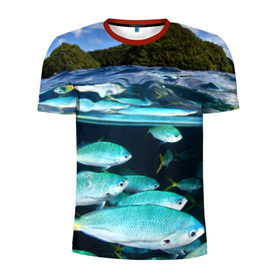 Мужская футболка 3D спортивная с принтом Подводный мир в Кировске, 100% полиэстер с улучшенными характеристиками | приталенный силуэт, круглая горловина, широкие плечи, сужается к линии бедра | вода | море | океан | природа | рыба | рыбы