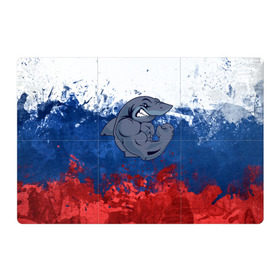 Магнитный плакат 3Х2 с принтом Акула в Кировске, Полимерный материал с магнитным слоем | 6 деталей размером 9*9 см | плавание | россия | русский | спорт