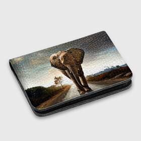 Картхолдер с принтом с принтом Дикий слон в Кировске, натуральная матовая кожа | размер 7,3 х 10 см; кардхолдер имеет 4 кармана для карт; | слон