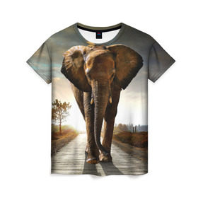 Женская футболка 3D с принтом Дикий слон в Кировске, 100% полиэфир ( синтетическое хлопкоподобное полотно) | прямой крой, круглый вырез горловины, длина до линии бедер | слон