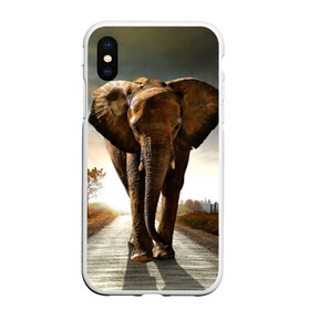 Чехол для iPhone XS Max матовый с принтом Дикий слон в Кировске, Силикон | Область печати: задняя сторона чехла, без боковых панелей | слон
