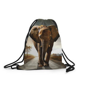 Рюкзак-мешок 3D с принтом Дикий слон в Кировске, 100% полиэстер | плотность ткани — 200 г/м2, размер — 35 х 45 см; лямки — толстые шнурки, застежка на шнуровке, без карманов и подкладки | Тематика изображения на принте: слон