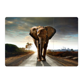 Магнитный плакат 3Х2 с принтом Дикий слон в Кировске, Полимерный материал с магнитным слоем | 6 деталей размером 9*9 см | слон