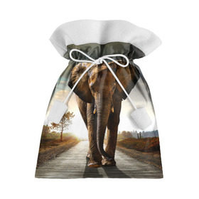 Подарочный 3D мешок с принтом Дикий слон в Кировске, 100% полиэстер | Размер: 29*39 см | слон
