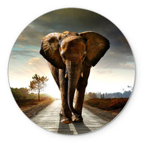 Коврик круглый с принтом Дикий слон в Кировске, резина и полиэстер | круглая форма, изображение наносится на всю лицевую часть | слон