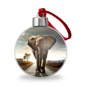Ёлочный шар с принтом Дикий слон в Кировске, Пластик | Диаметр: 77 мм | слон