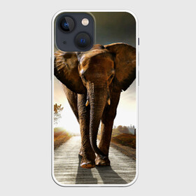 Чехол для iPhone 13 mini с принтом Дикий слон в Кировске,  |  | слон