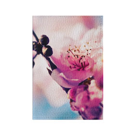 Обложка для паспорта матовая кожа с принтом Цветущая вишня в Кировске, натуральная матовая кожа | размер 19,3 х 13,7 см; прозрачные пластиковые крепления | Тематика изображения на принте: вишня | дерево | небо | природа | черешня | ягода