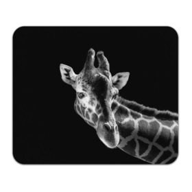 Коврик прямоугольный с принтом Жираф в Кировске, натуральный каучук | размер 230 х 185 мм; запечатка лицевой стороны | Тематика изображения на принте: африка | животное | жираф | фон | фото | черно белое | черный