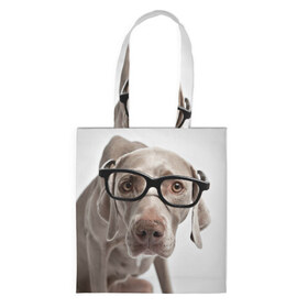 Сумка 3D повседневная с принтом Собака в очках в Кировске, 100% полиэстер | Плотность: 200 г/м2; Размер: 34×35 см; Высота лямок: 30 см | в очках | дог | животное | очки | прикол | пятнистый | собака | щенок