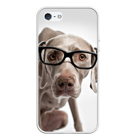 Чехол силиконовый для Телефон Apple iPhone 5/5S с принтом Собака в очках в Кировске, Силикон | Область печати: задняя сторона чехла, без боковых панелей | Тематика изображения на принте: в очках | дог | животное | очки | прикол | пятнистый | собака | щенок