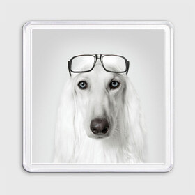 Магнит 55*55 с принтом Собака в очках в Кировске, Пластик | Размер: 65*65 мм; Размер печати: 55*55 мм | афганская | белая | борзая | в очках | животное | очки | прикол | собака