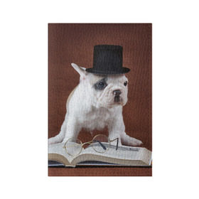 Обложка для паспорта матовая кожа с принтом Бульдог в цилиндре в Кировске, натуральная матовая кожа | размер 19,3 х 13,7 см; прозрачные пластиковые крепления | бульдог в цилиндре | домашнее | животное | книга французский | очки | пес | прикол | собака | умный | ученый