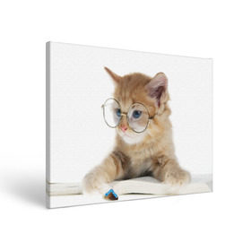 Холст прямоугольный с принтом Кот в очках в Кировске, 100% ПВХ |  | Тематика изображения на принте: домашнее | животное | книга | кот | кот в очках | котэ | очки | прикол | умный | ученый | читает