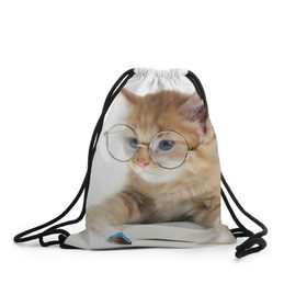 Рюкзак-мешок 3D с принтом Кот в очках в Кировске, 100% полиэстер | плотность ткани — 200 г/м2, размер — 35 х 45 см; лямки — толстые шнурки, застежка на шнуровке, без карманов и подкладки | домашнее | животное | книга | кот | кот в очках | котэ | очки | прикол | умный | ученый | читает