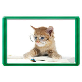 Магнит 45*70 с принтом Кот в очках в Кировске, Пластик | Размер: 78*52 мм; Размер печати: 70*45 | Тематика изображения на принте: домашнее | животное | книга | кот | кот в очках | котэ | очки | прикол | умный | ученый | читает
