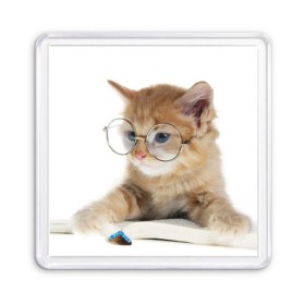 Магнит 55*55 с принтом Кот в очках в Кировске, Пластик | Размер: 65*65 мм; Размер печати: 55*55 мм | Тематика изображения на принте: домашнее | животное | книга | кот | кот в очках | котэ | очки | прикол | умный | ученый | читает