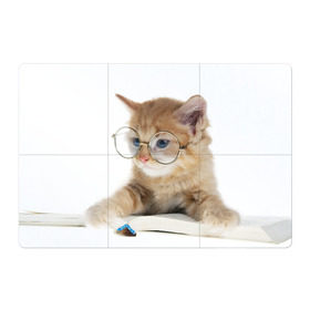 Магнитный плакат 3Х2 с принтом Кот в очках в Кировске, Полимерный материал с магнитным слоем | 6 деталей размером 9*9 см | Тематика изображения на принте: домашнее | животное | книга | кот | кот в очках | котэ | очки | прикол | умный | ученый | читает